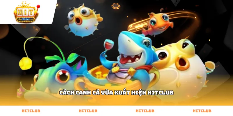 Thực hiện cách canh cá vừa xuất hiện Hitclub chính xác nhất
