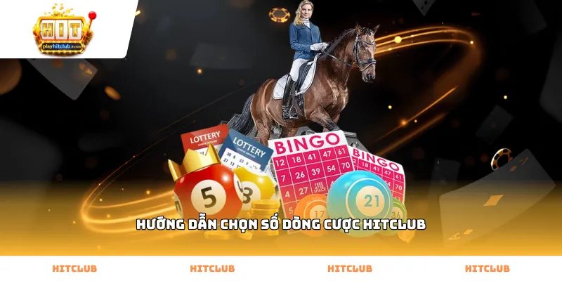 Hướng dẫn chọn số dòng cược Hitclub hiệu quả nhất